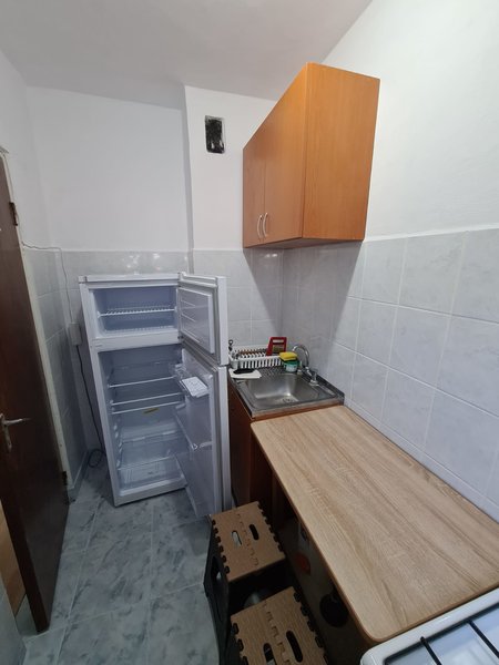 Titan, Theodor Pallady, 1 Decembrie 1918,