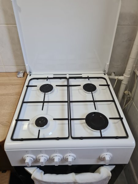 Titan, Theodor Pallady, 1 Decembrie 1918,